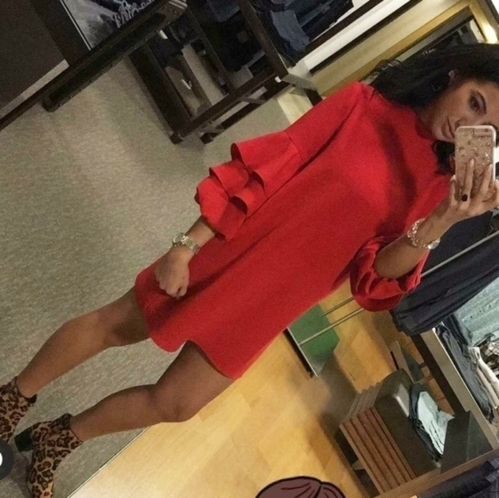 Red Zara‎ Ruffle Sleeve Dress Large